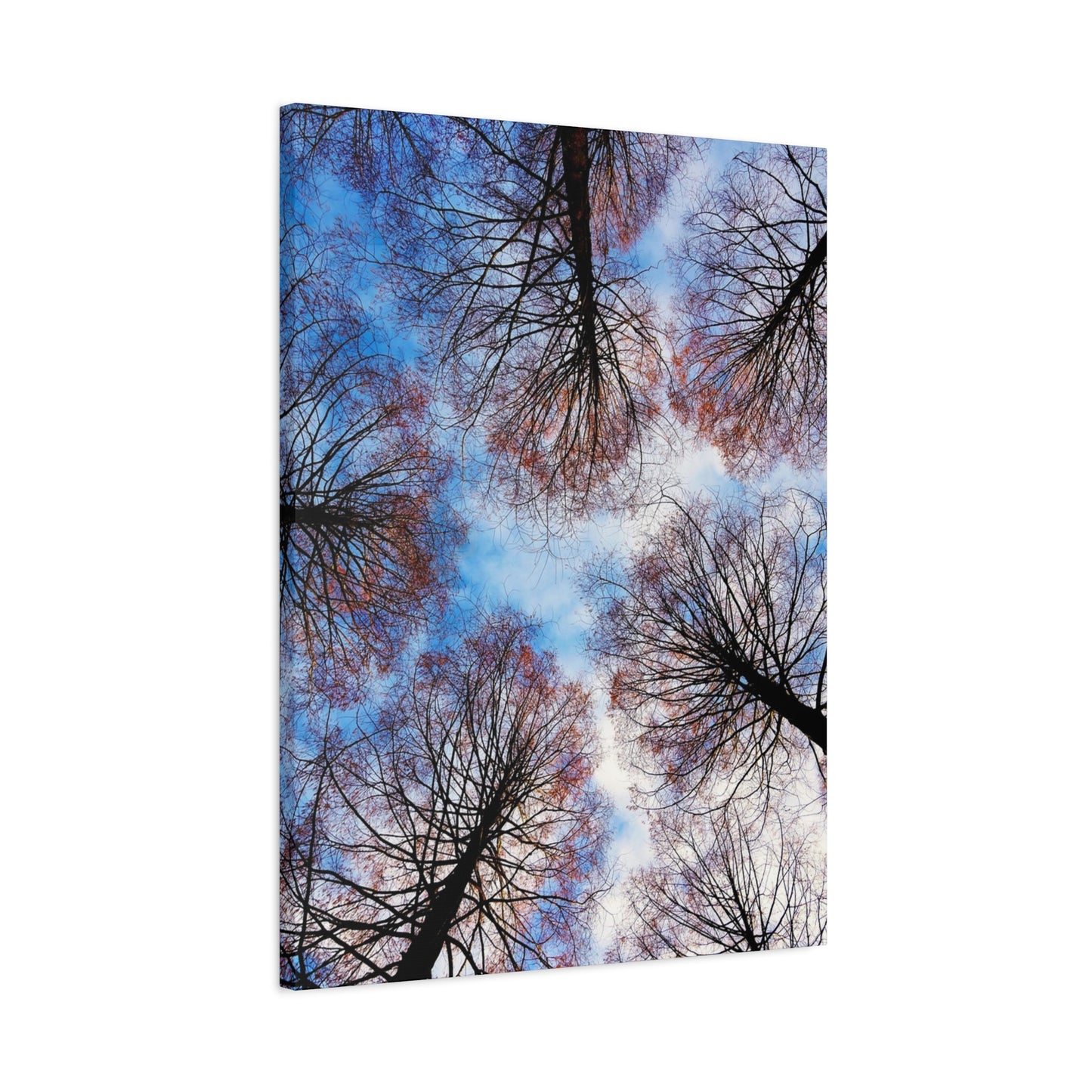 Winter Tree Canopy Matte Canvas Wall Art — Stretched 1.25"