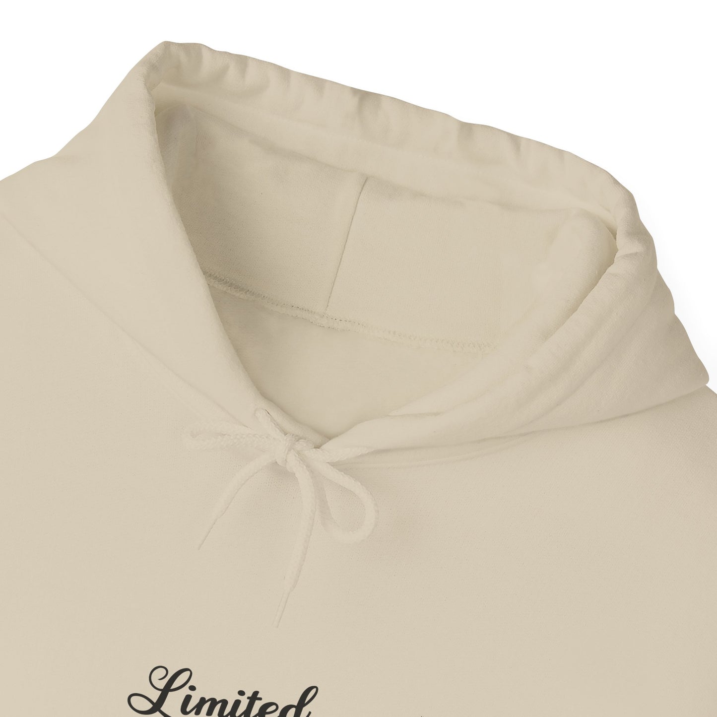 Limited Edition Unisex Heavy Blend Hoodie – Cozy Layer, Casual Style, Perfect Gift, Everyday Wear, Trendy Sweatshirt