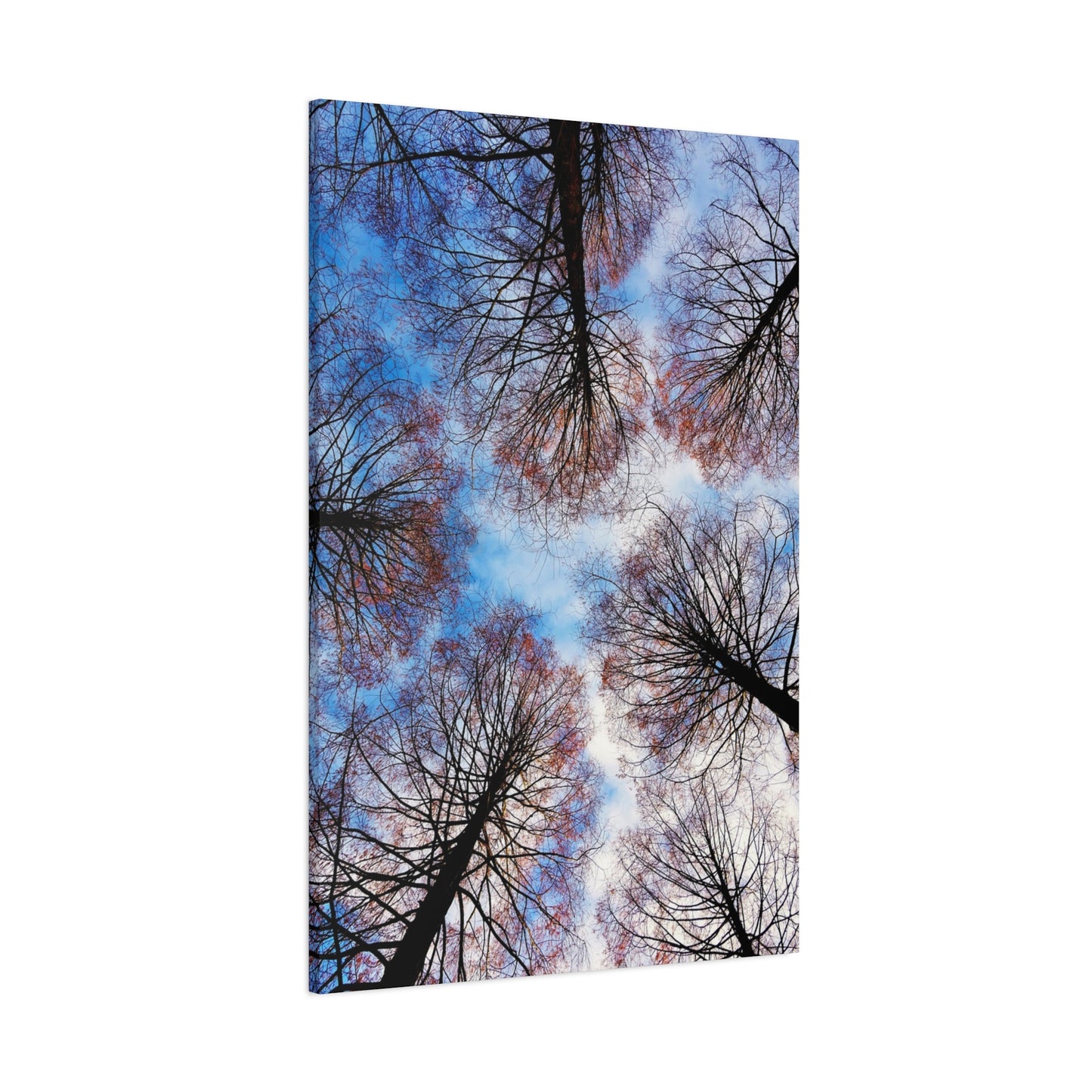 Winter Tree Canopy Matte Canvas Wall Art — Stretched 1.25"