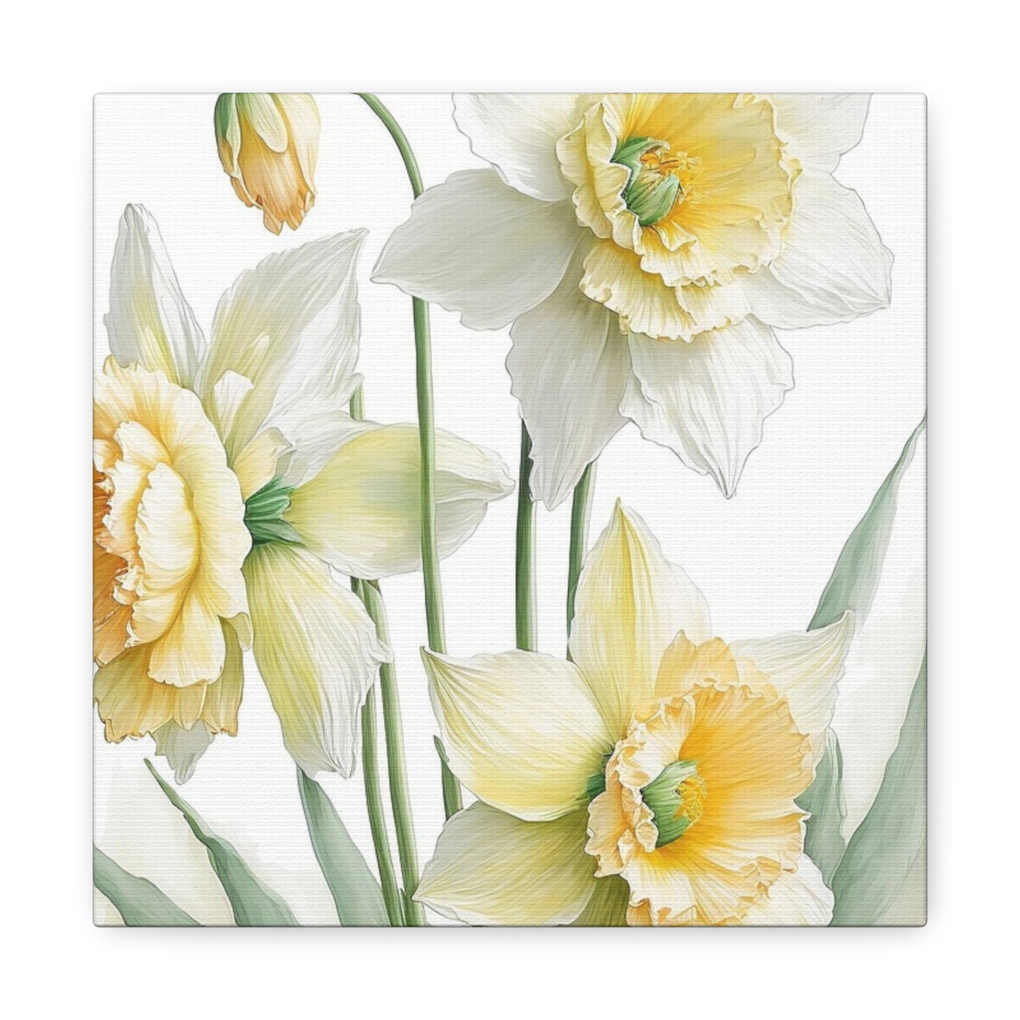 Matte Canvas, Stretched, 1.25" beautiful flowers white and yellow.