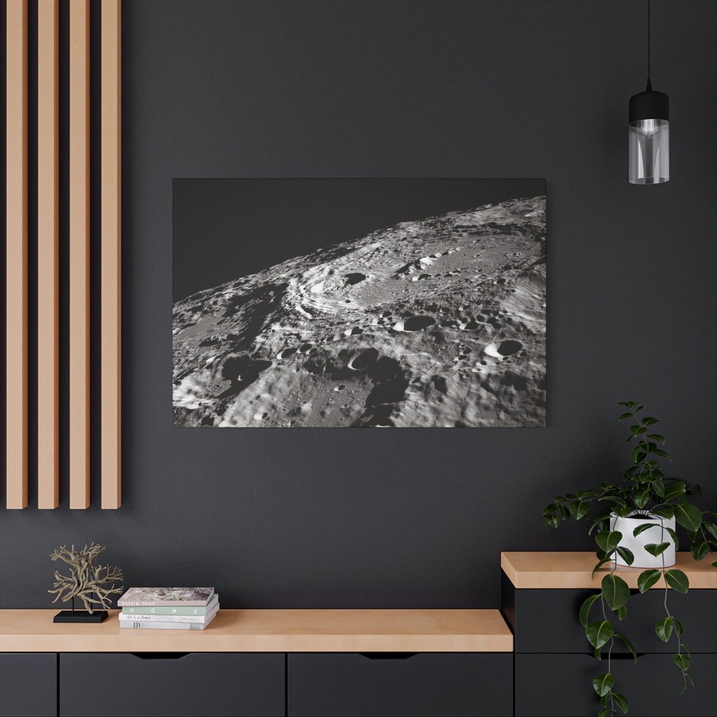 Lunar Surface Matte Canvas Print — Black & White Moon Crater Wall Art