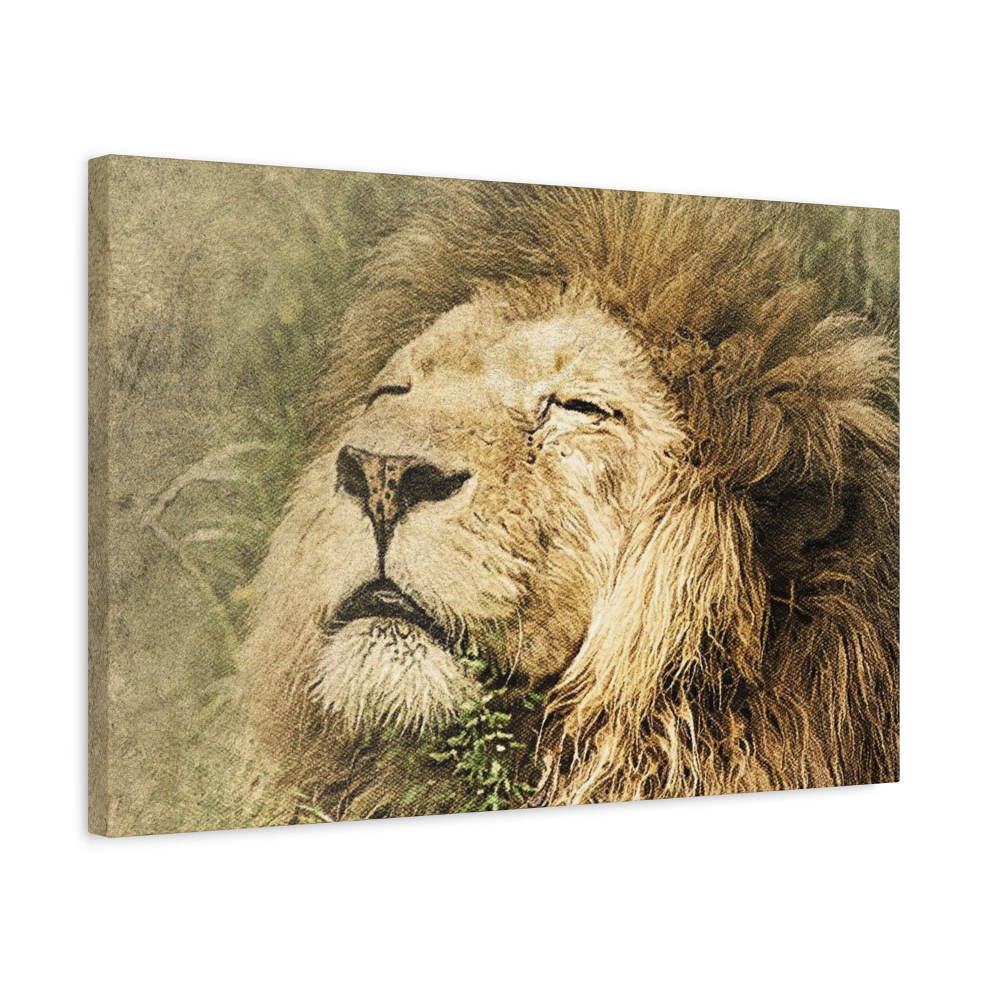 Lion Portrait Matte Canvas Print — Stretched 1.25" Wall Art