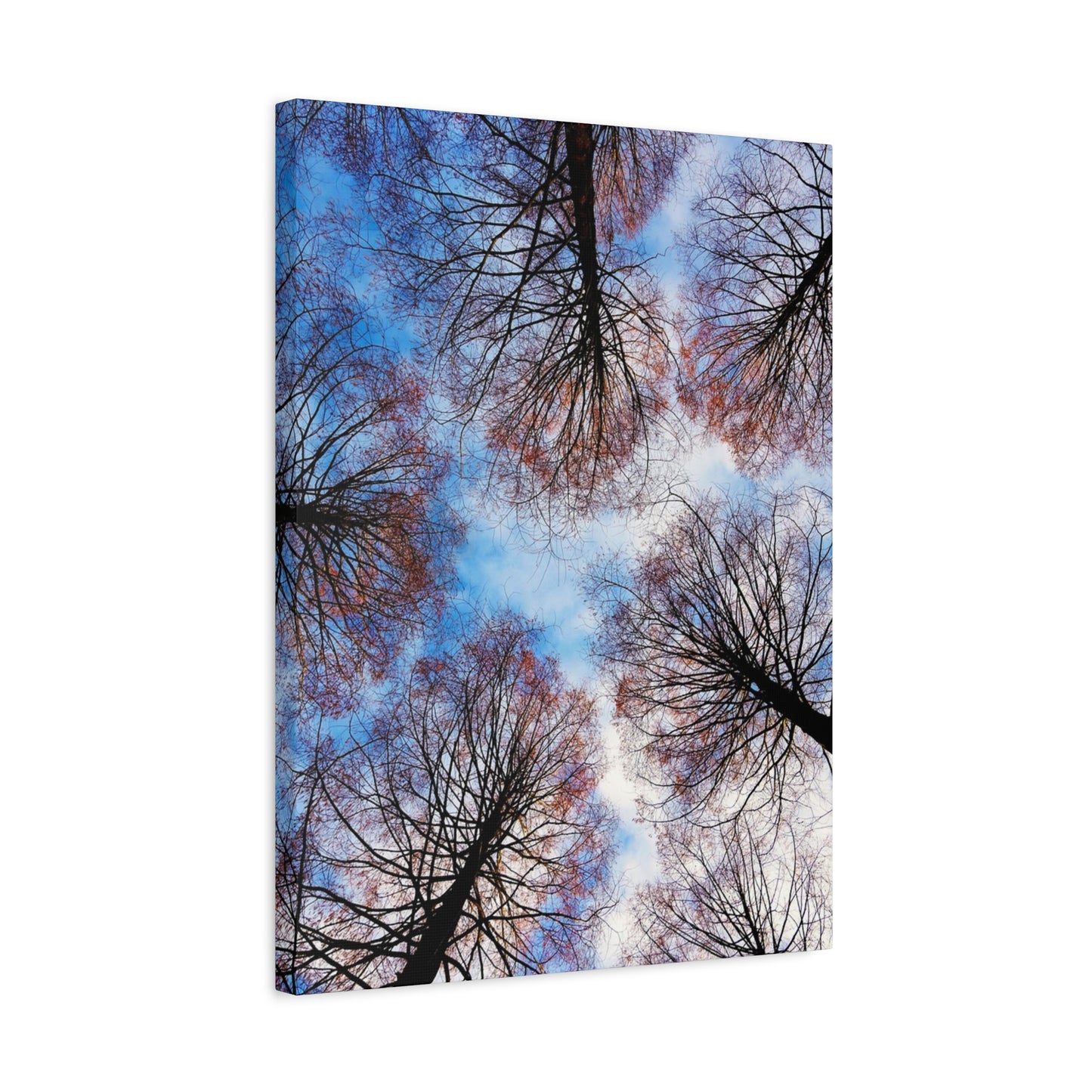Winter Tree Canopy Matte Canvas Wall Art — Stretched 1.25"
