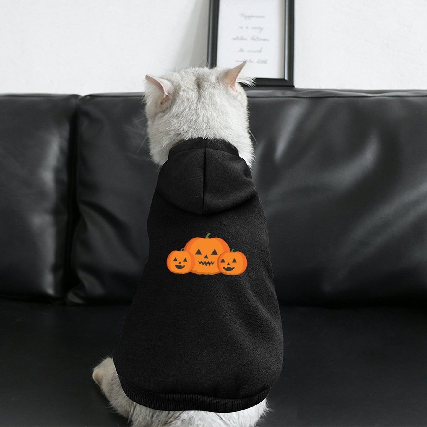 Halloween Custom Pet Hoodies-Partially Printed Pullover Sweatshirts
