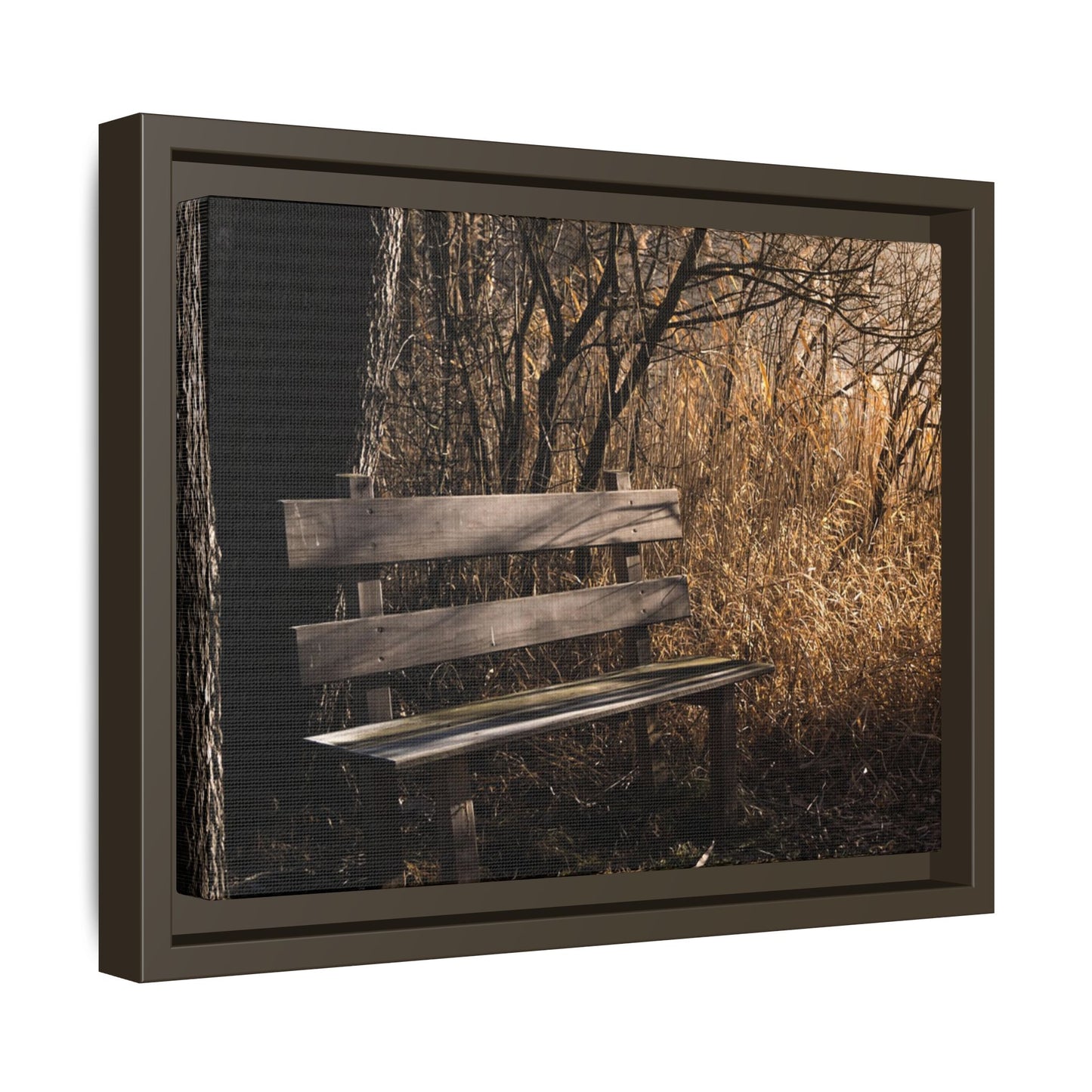 Framed Matte Canvas Print — Autumn Park Bench Photography