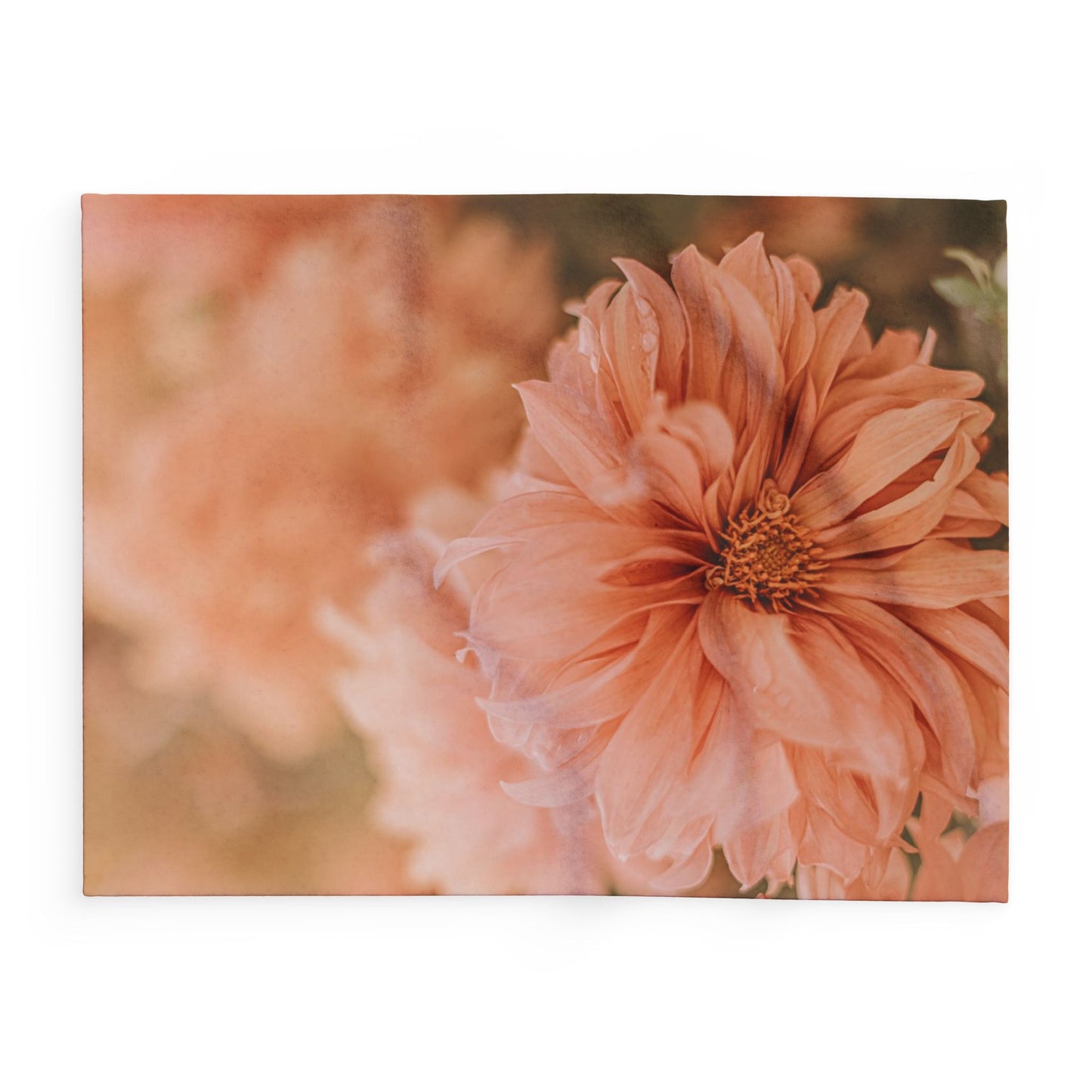 Cozy Floral Fleece Blanket | Soft Throw Blanket for Home, Boho Decor, Gift for Her, Wedding Blanket, Boudoir Accessory