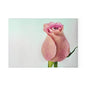 Elegant Floral Glass Cutting Board, Kitchen Decor, Unique Gift, Wedding Registry, Rose Design, Housewarming, Cooking