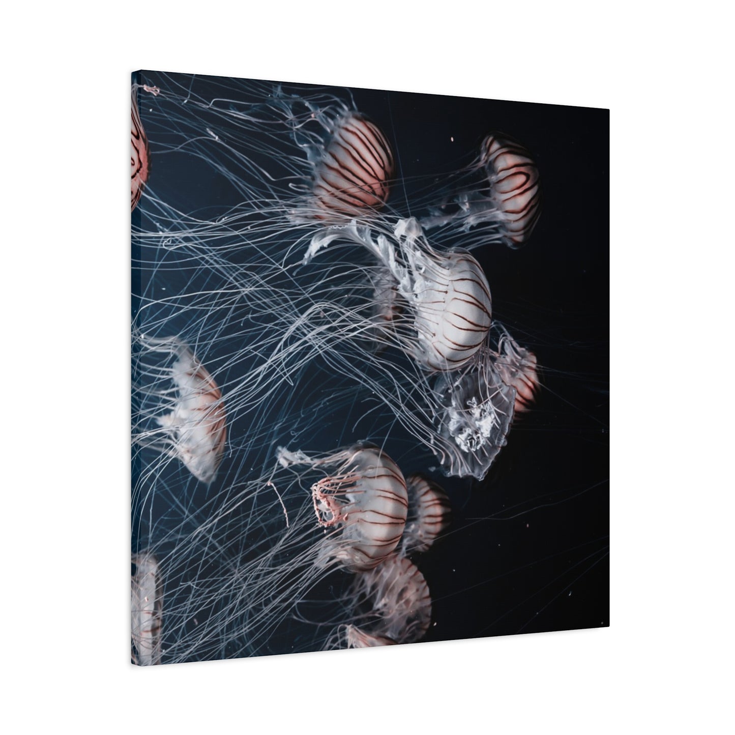 Jellyfish Swarm Matte Stretched Canvas