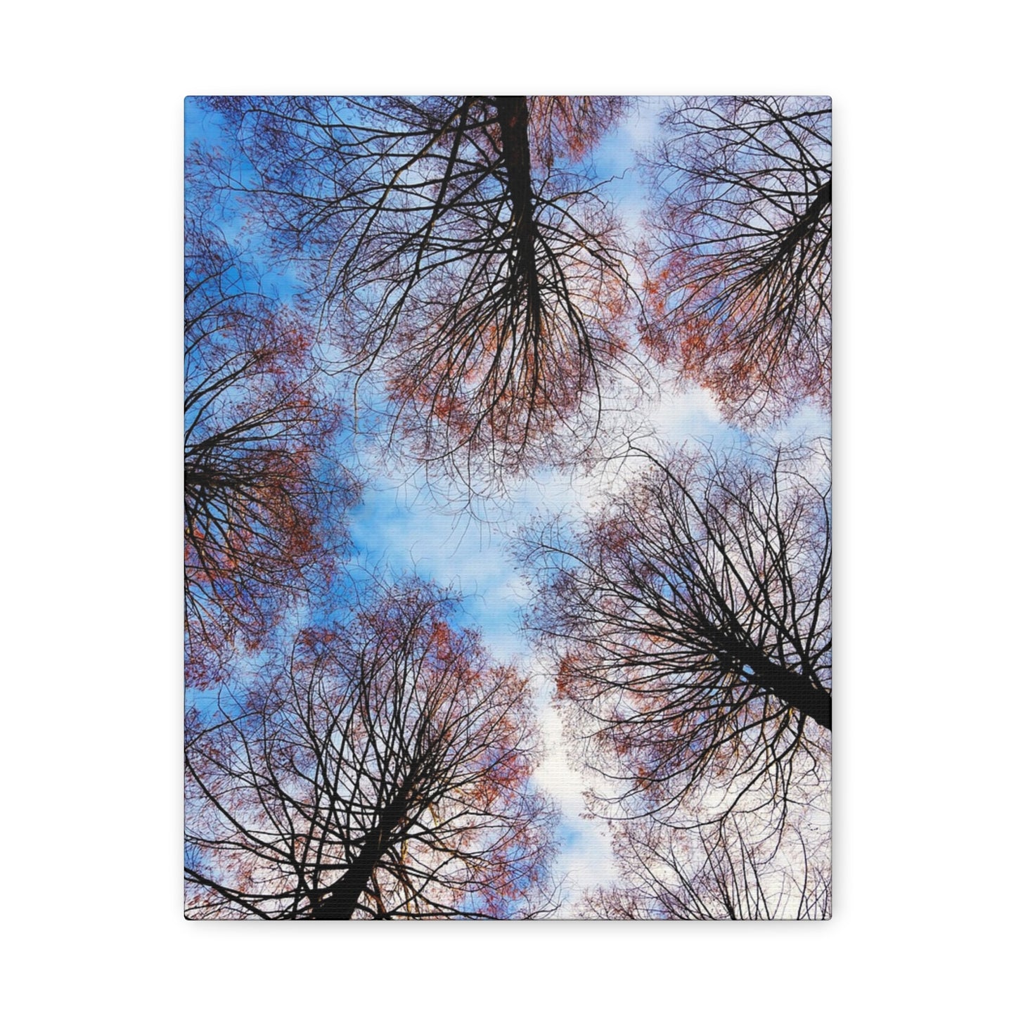 Winter Tree Canopy Matte Canvas Wall Art — Stretched 1.25"