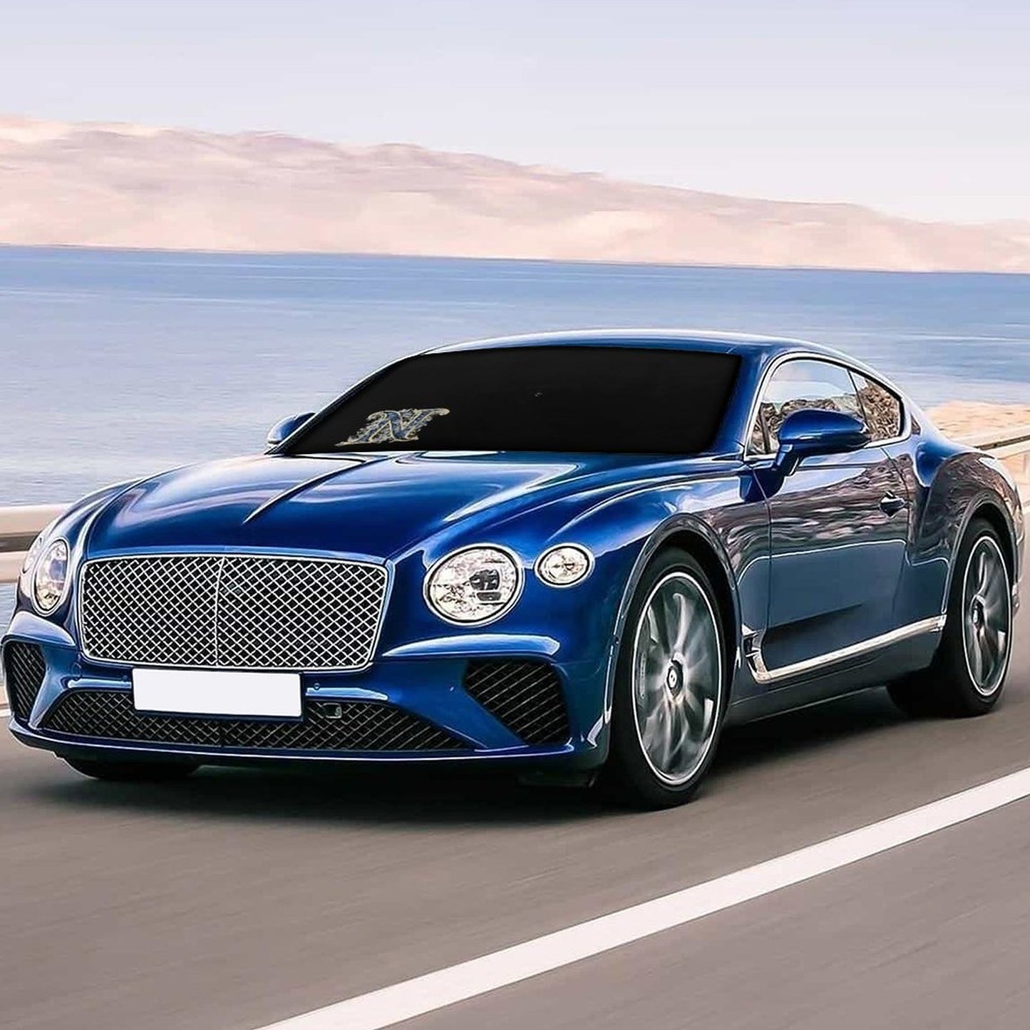 Car Sunshade Umbrella