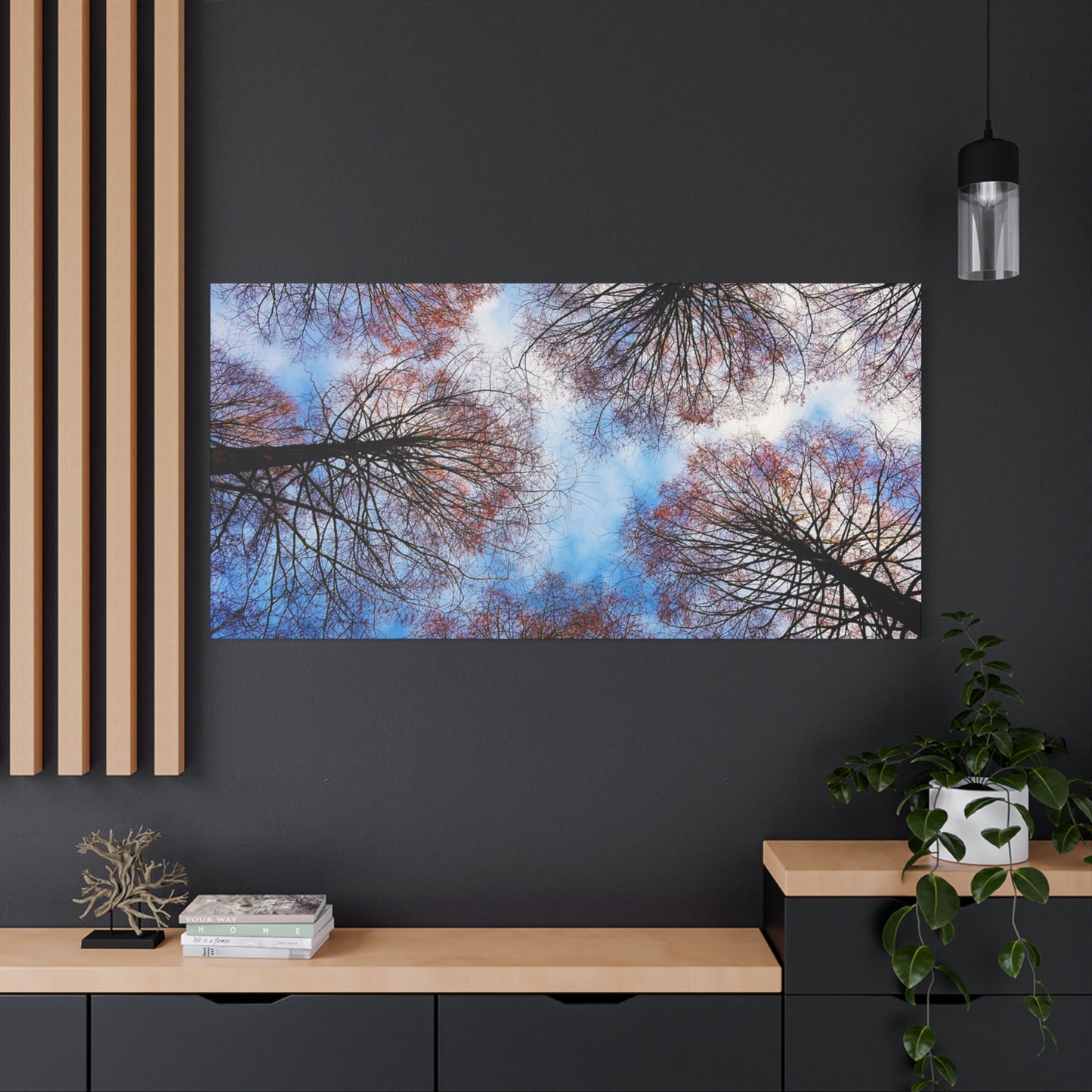 Canopy Sky Canvas Print — Winter Tree Tops Wall Art
