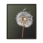 Framed Dandelion Canvas Print — Matte Botanical Wall Art