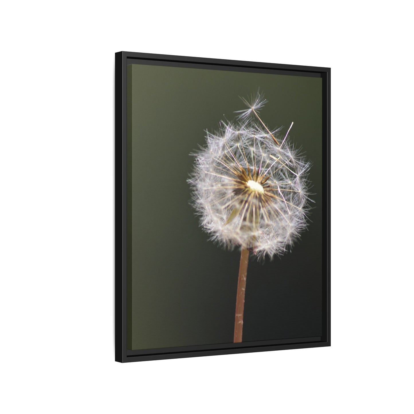 Framed Dandelion Canvas Print — Matte Botanical Wall Art