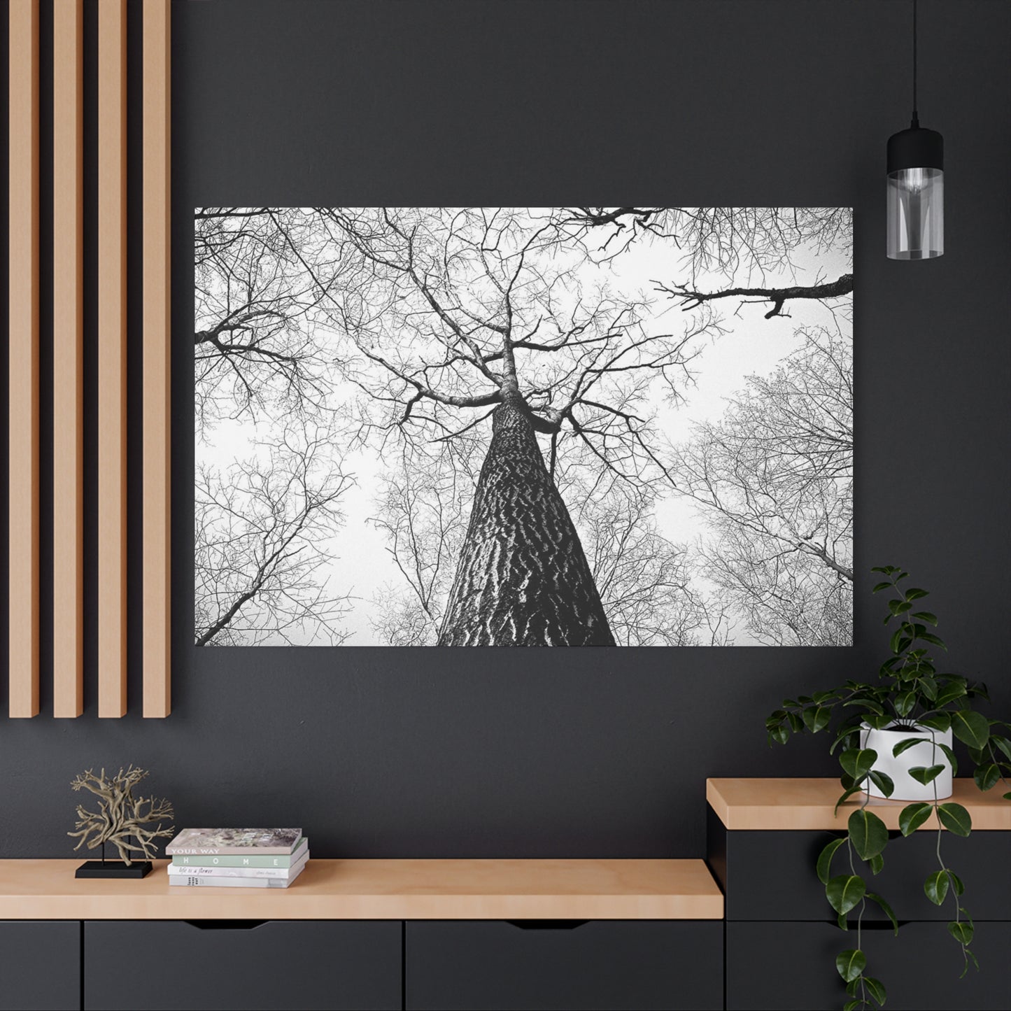 Black & White Tree Canopy Matte Canvas Wall Art — Upward Forest Photography