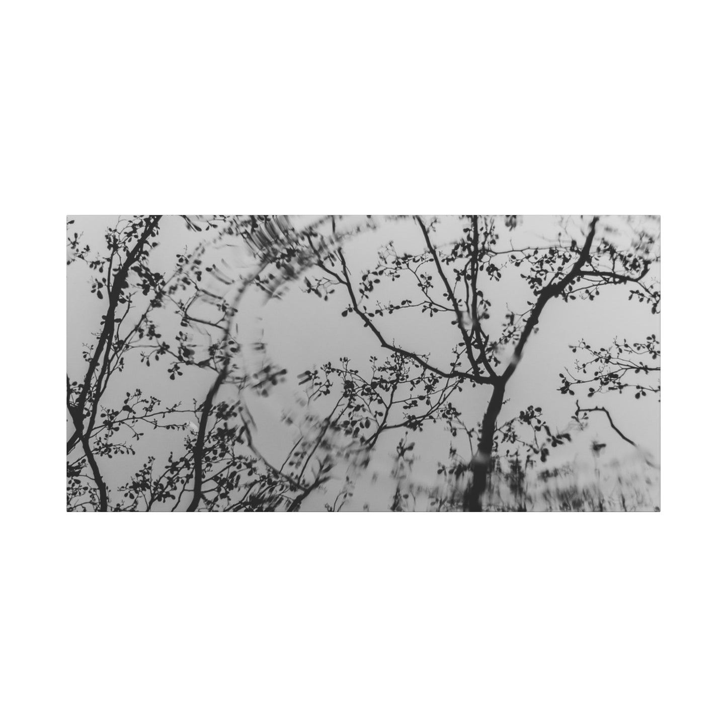 Canvas Wall Art — Monochrome Blurred Ferris Wheel with Tree Silhouettes