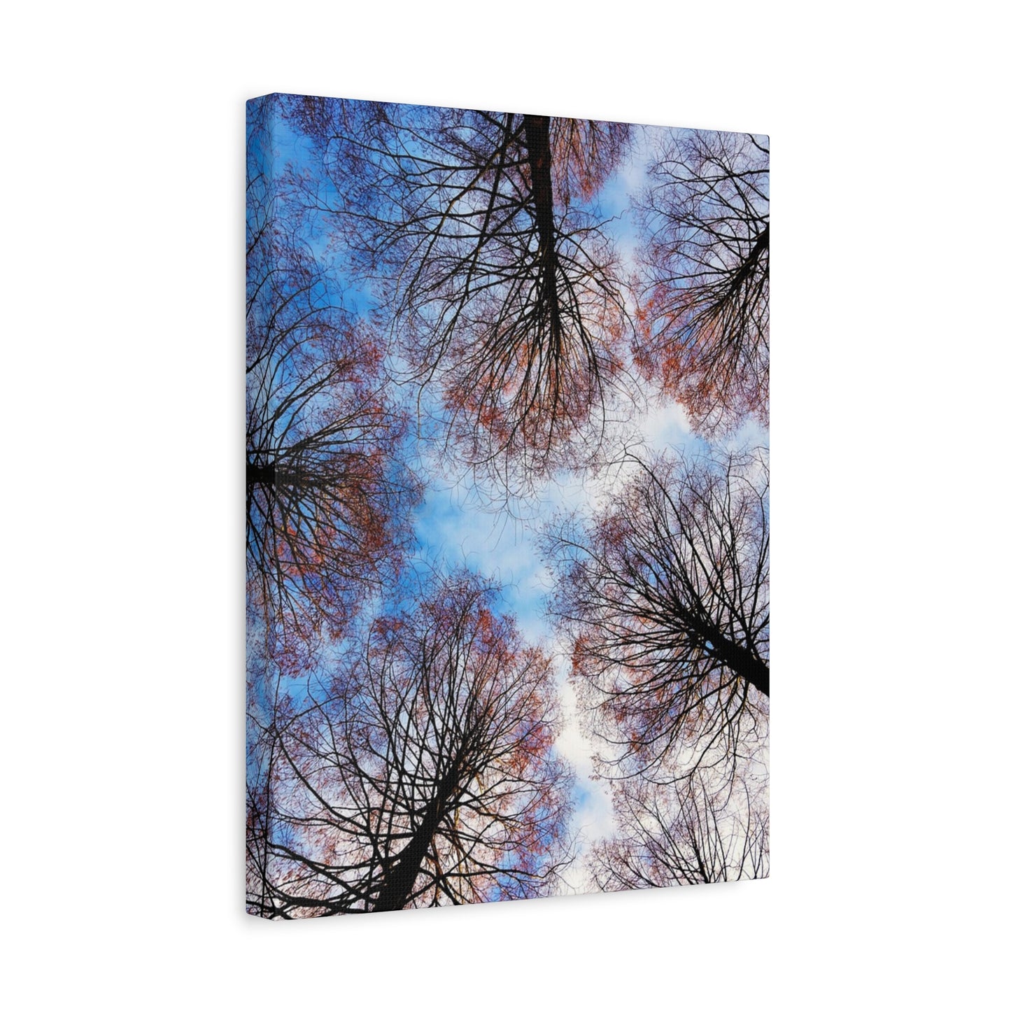 Winter Tree Canopy Matte Canvas Wall Art — Stretched 1.25"