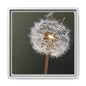Framed Dandelion Canvas Print — Matte Botanical Wall Art