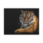 Majestic Tiger Canvas Art, Perfect for Animal Lovers, Home Decor, Gift for Wildlife Enthusiasts, Modern Wall Art, 1.25" Depth