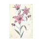 Matte Canvas, Stretched, 1.25" Tulips Pink Flowers