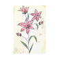 Matte Canvas, Stretched, 1.25" Tulips Pink Flowers