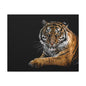 Majestic Tiger Canvas Art, Perfect for Animal Lovers, Home Decor, Gift for Wildlife Enthusiasts, Modern Wall Art, 1.25" Depth