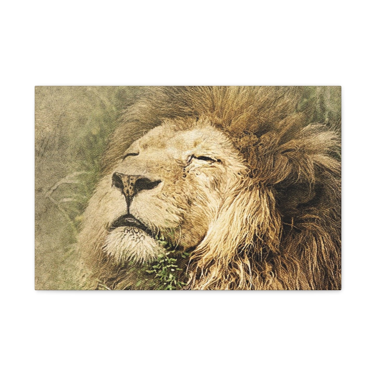 Lion Portrait Matte Canvas Print — Stretched 1.25" Wall Art