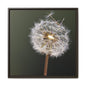 Framed Dandelion Canvas Print — Matte Botanical Wall Art
