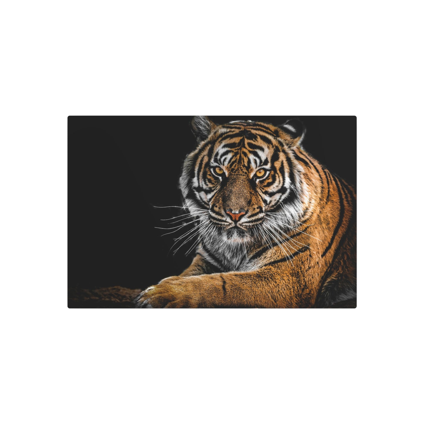 Metal Wall Art, Tiger Decor, Animal Lover Gift, Home Wall Decor, Unique Artwork, Nature Lover Gift