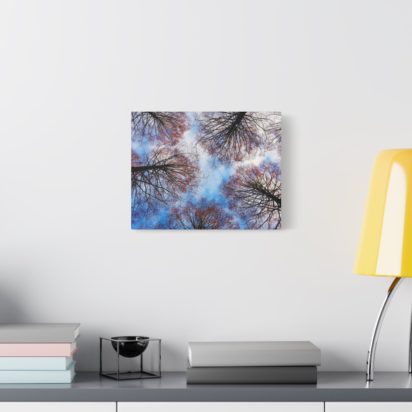 Canopy Sky Canvas Print — Winter Tree Tops Wall Art