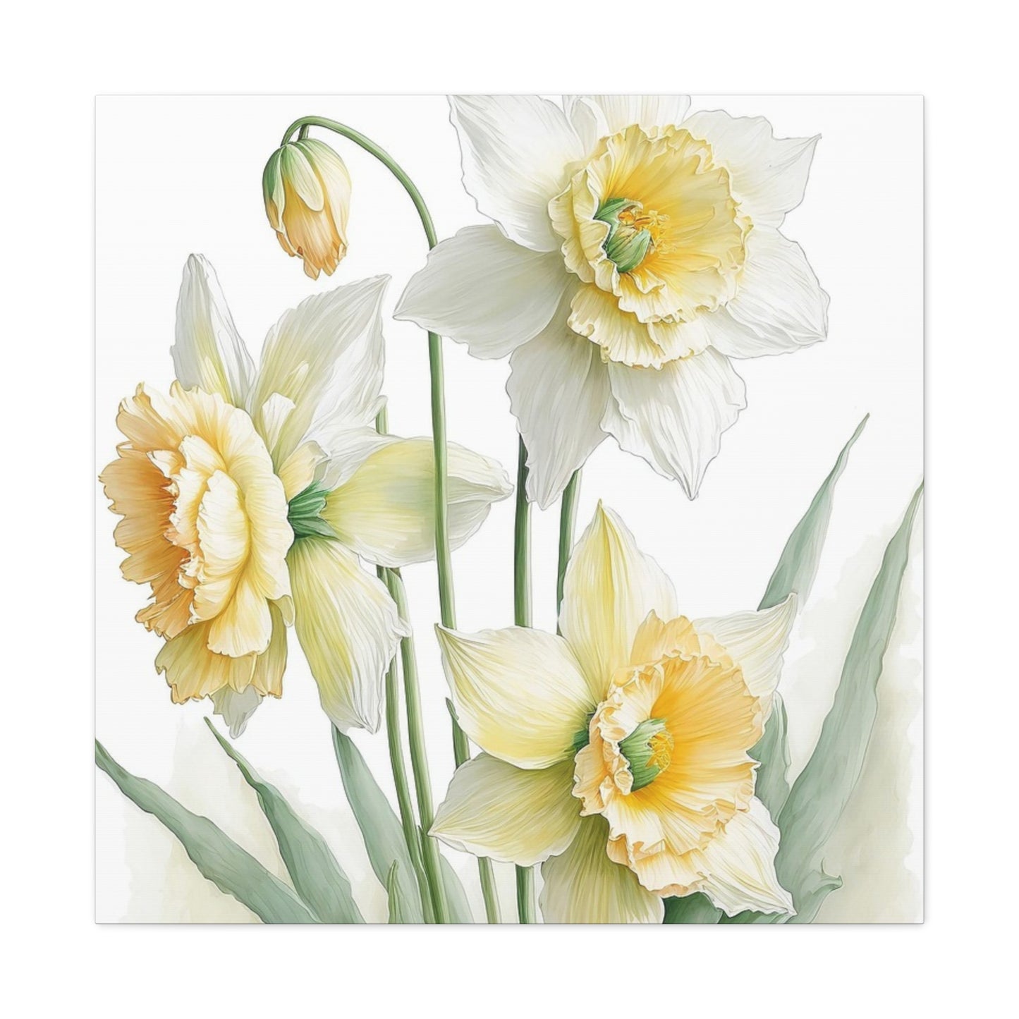 Matte Canvas, Stretched, 1.25" beautiful flowers white and yellow.