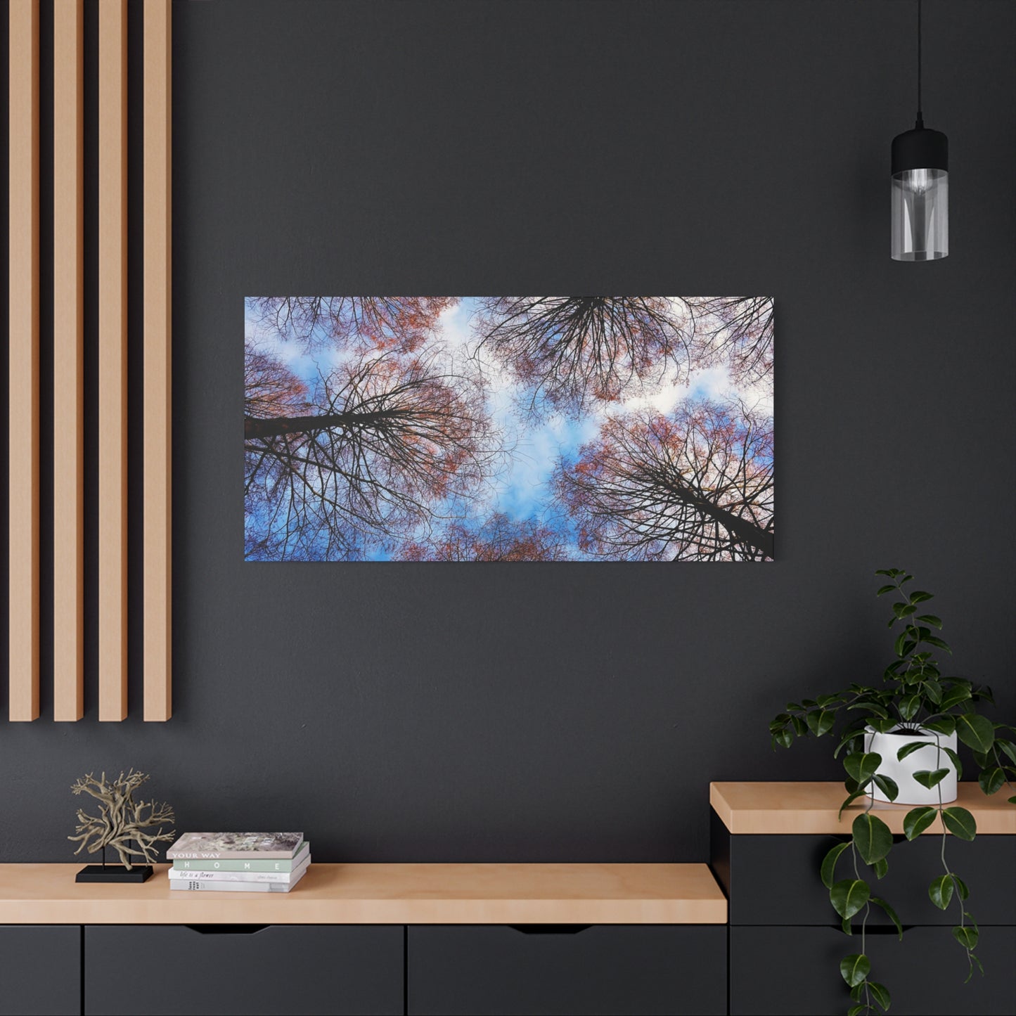 Canopy Sky Canvas Print — Winter Tree Tops Wall Art