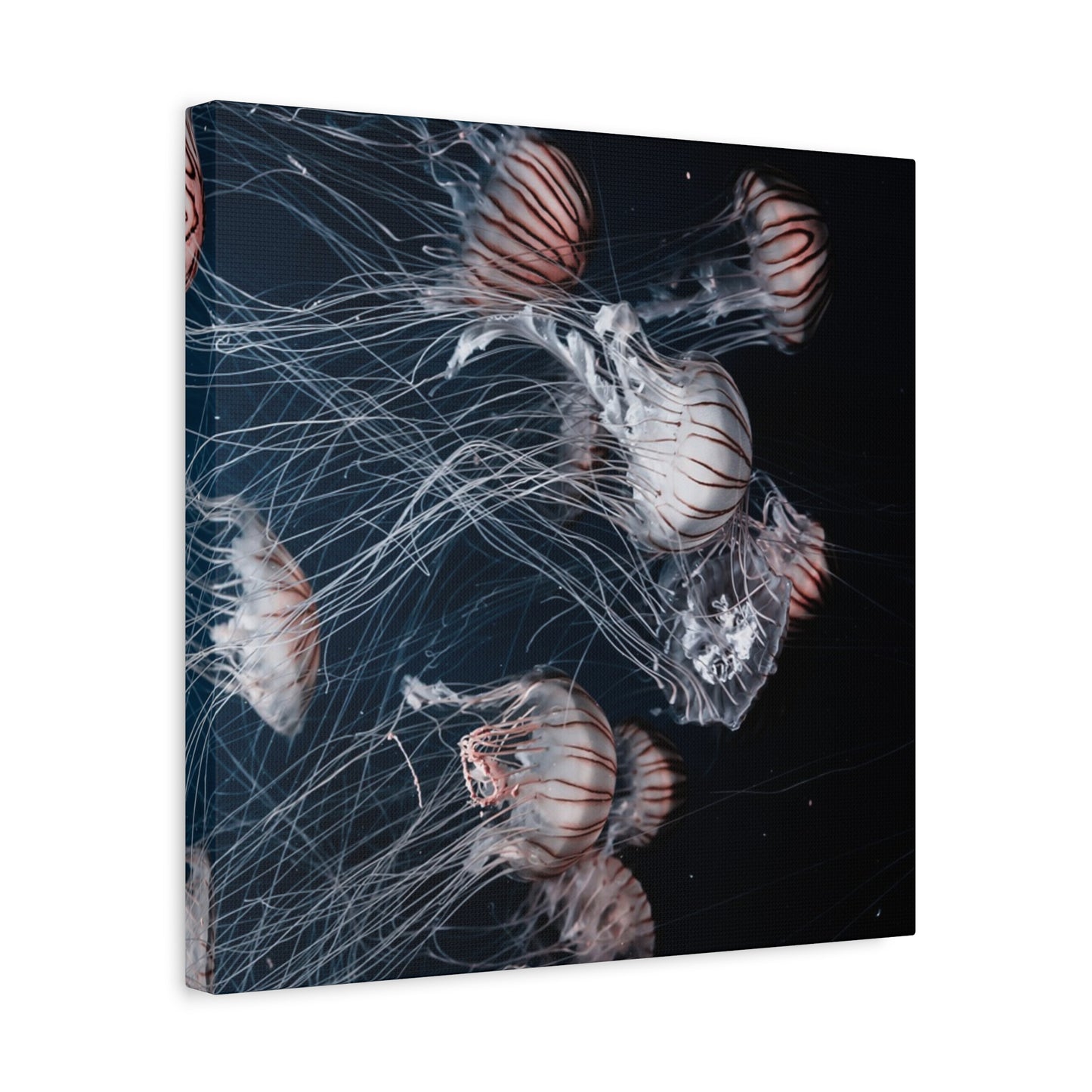 Jellyfish Swarm Matte Stretched Canvas