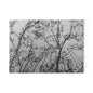 Glass Cutting Board — Monochrome Ferris Wheel & Tree Silhouette Decorative Cutting Board