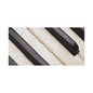 Piano Keys Canvas Wall Art, Music Decor for Home, Perfect Gift for Musicians or Music Lovers