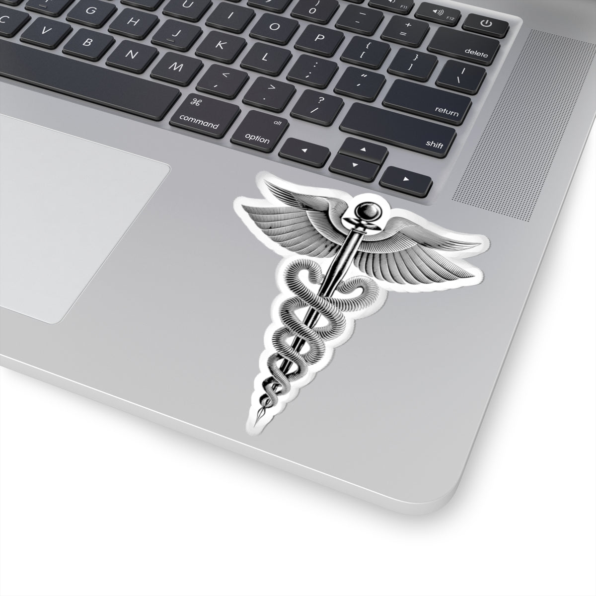 Caduceus Kiss-Cut Stickers, Medical Stickers, Doctor’s Decor, Gift for [...]