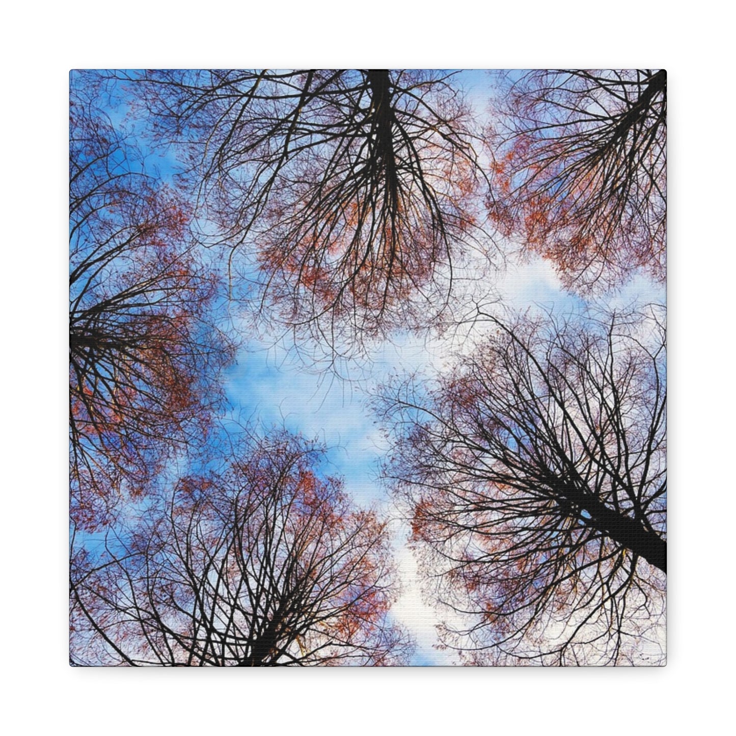 Winter Tree Canopy Matte Canvas Wall Art — Stretched 1.25"