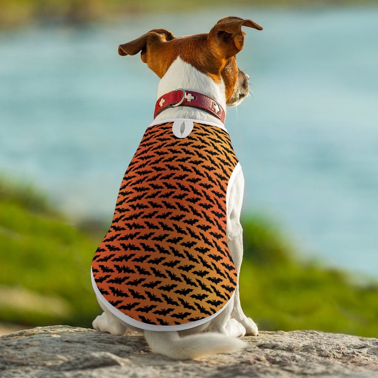 Halloween Custom Dog Vests- Pet Tank Tops