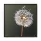 Framed Dandelion Canvas Print — Matte Botanical Wall Art