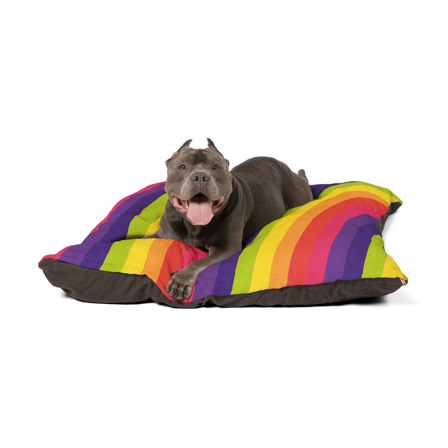 Cozy Rainbow Pet Bed, Cute Dog Bed, Colorful Cat Cushion, Soft Plush Pet Lounge, Unique Pet Gift for Holidays