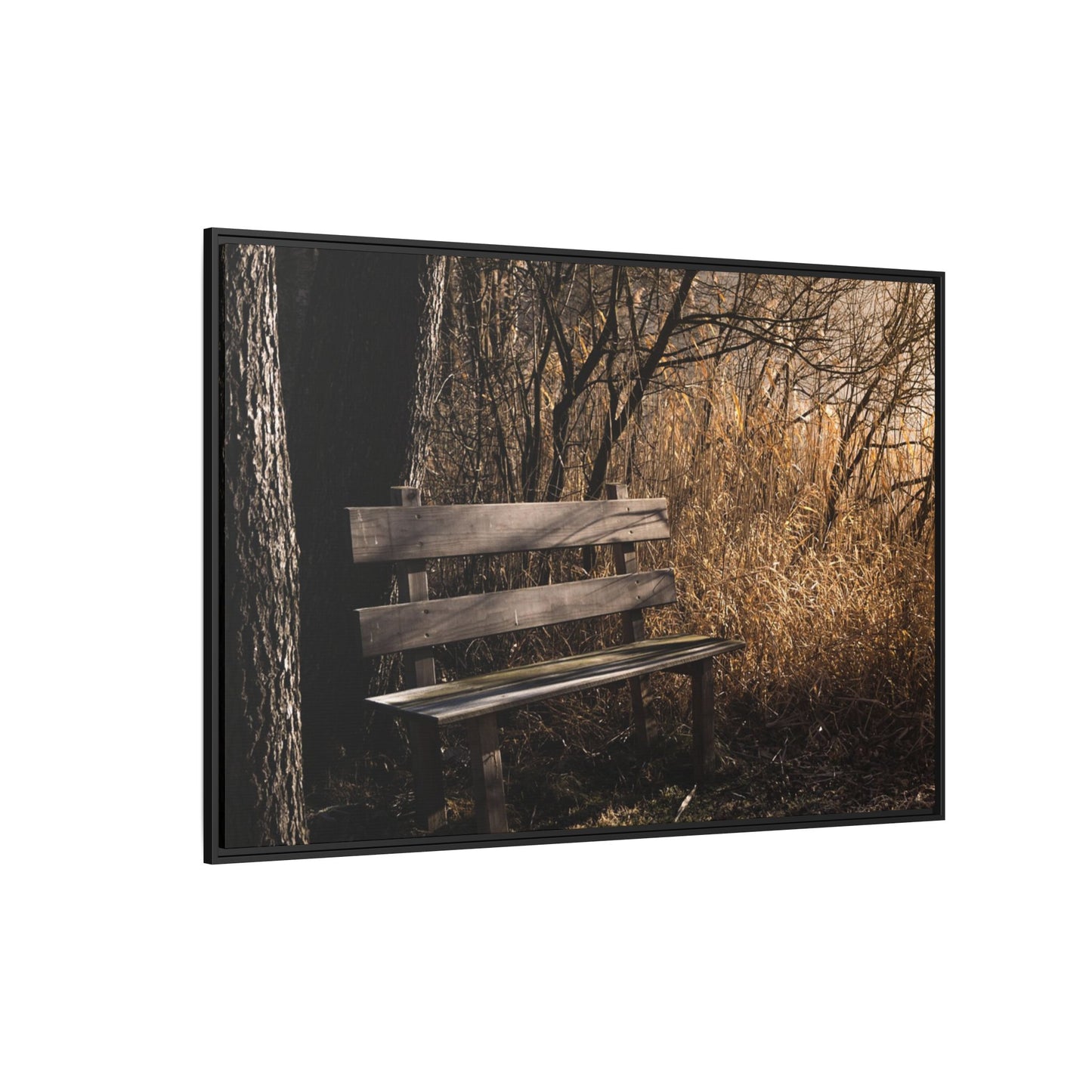Framed Matte Canvas Print — Autumn Park Bench Photography