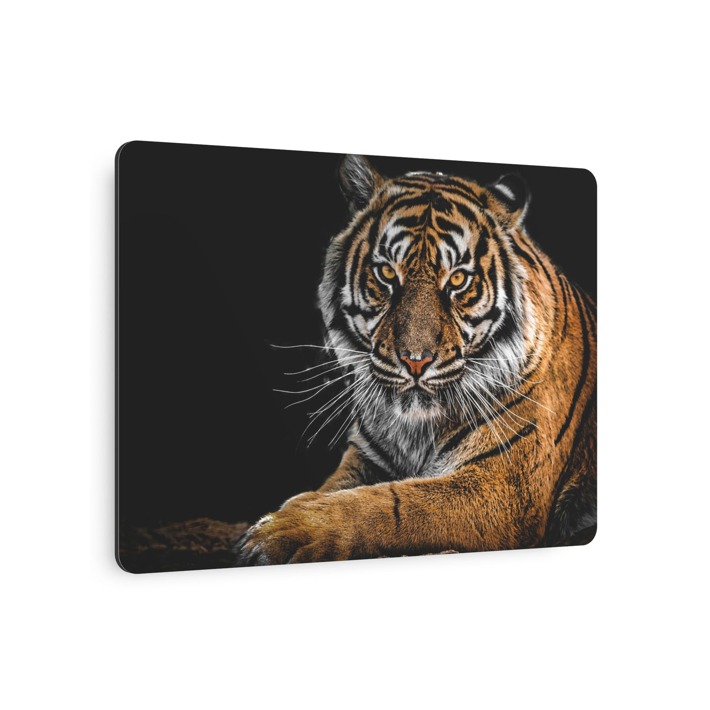 Metal Wall Art, Tiger Decor, Animal Lover Gift, Home Wall Decor, Unique Artwork, Nature Lover Gift