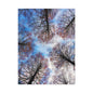 Winter Tree Canopy Matte Canvas Wall Art — Stretched 1.25"