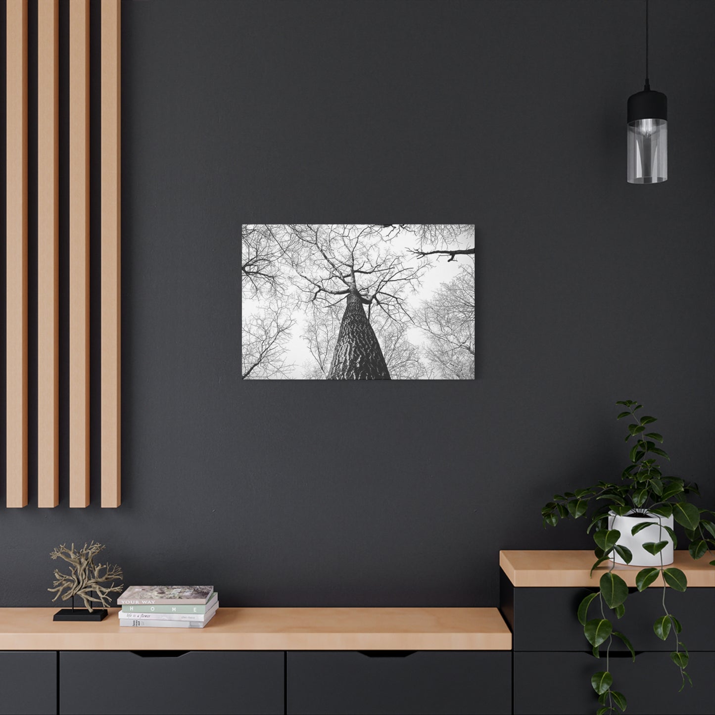 Black & White Tree Canopy Matte Canvas Wall Art — Upward Forest Photography