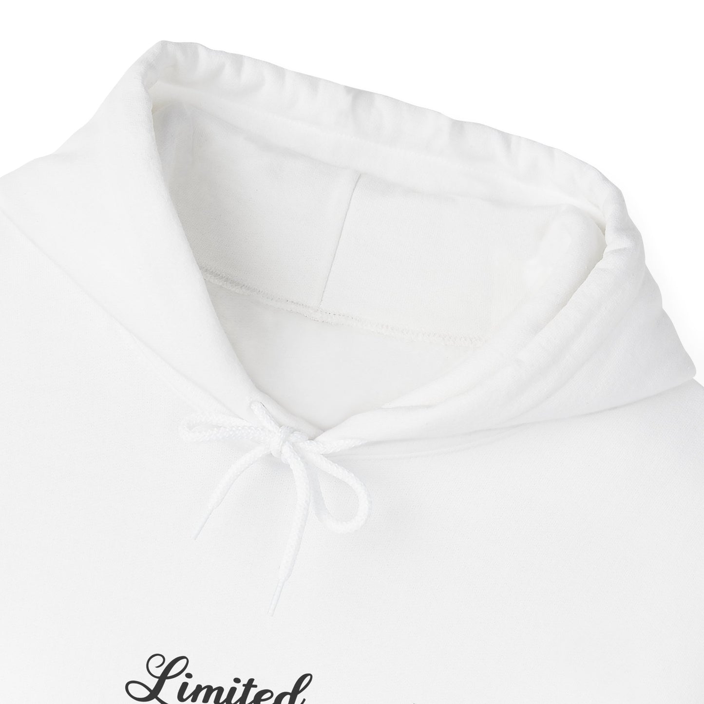 Limited Edition Unisex Heavy Blend Hoodie – Cozy Layer, Casual Style, Perfect Gift, Everyday Wear, Trendy Sweatshirt