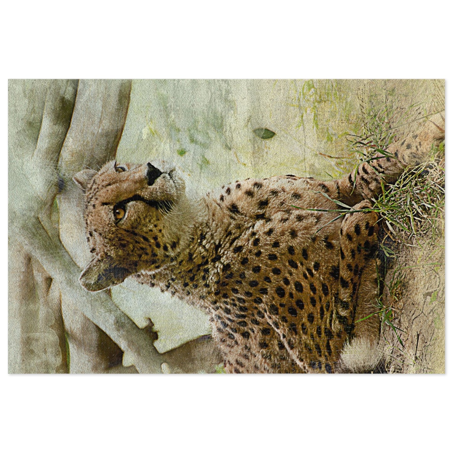 Wildlife Jigsaw Puzzle with Tin, Cheetah Puzzle Game, Family Fun Activity, Perfect Gift for Nature Lovers, Home Decor Puzzle