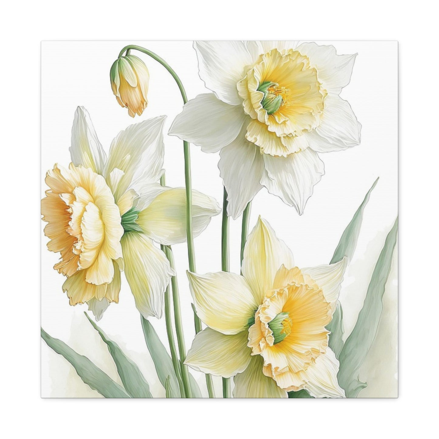 Matte Canvas, Stretched, 1.25" beautiful flowers white and yellow.