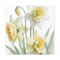 Matte Canvas, Stretched, 1.25" beautiful flowers white and yellow.