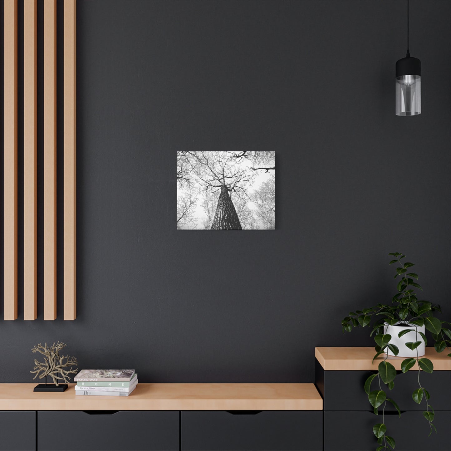 Black & White Tree Canopy Matte Canvas Wall Art — Upward Forest Photography