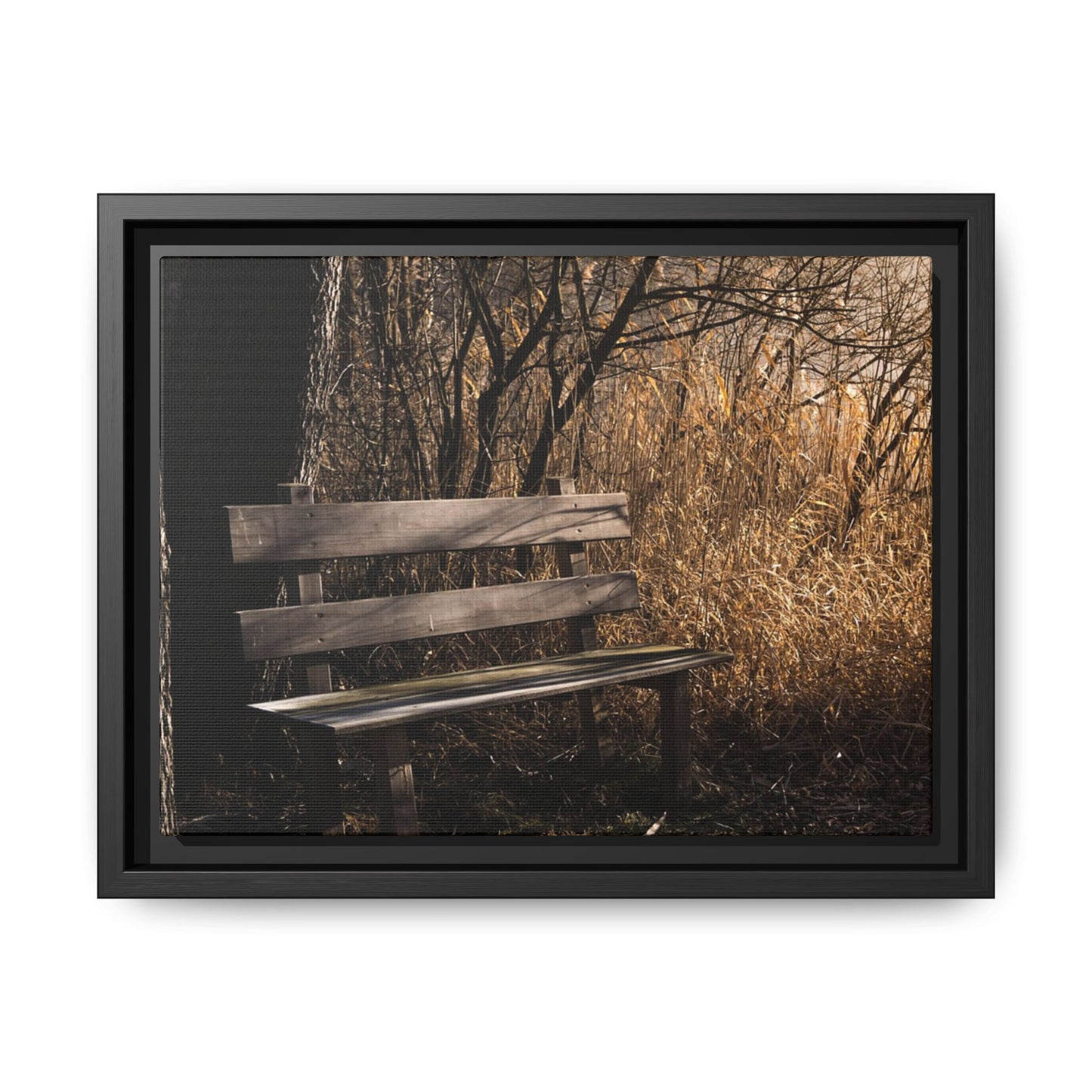 Framed Matte Canvas Print — Autumn Park Bench Photography