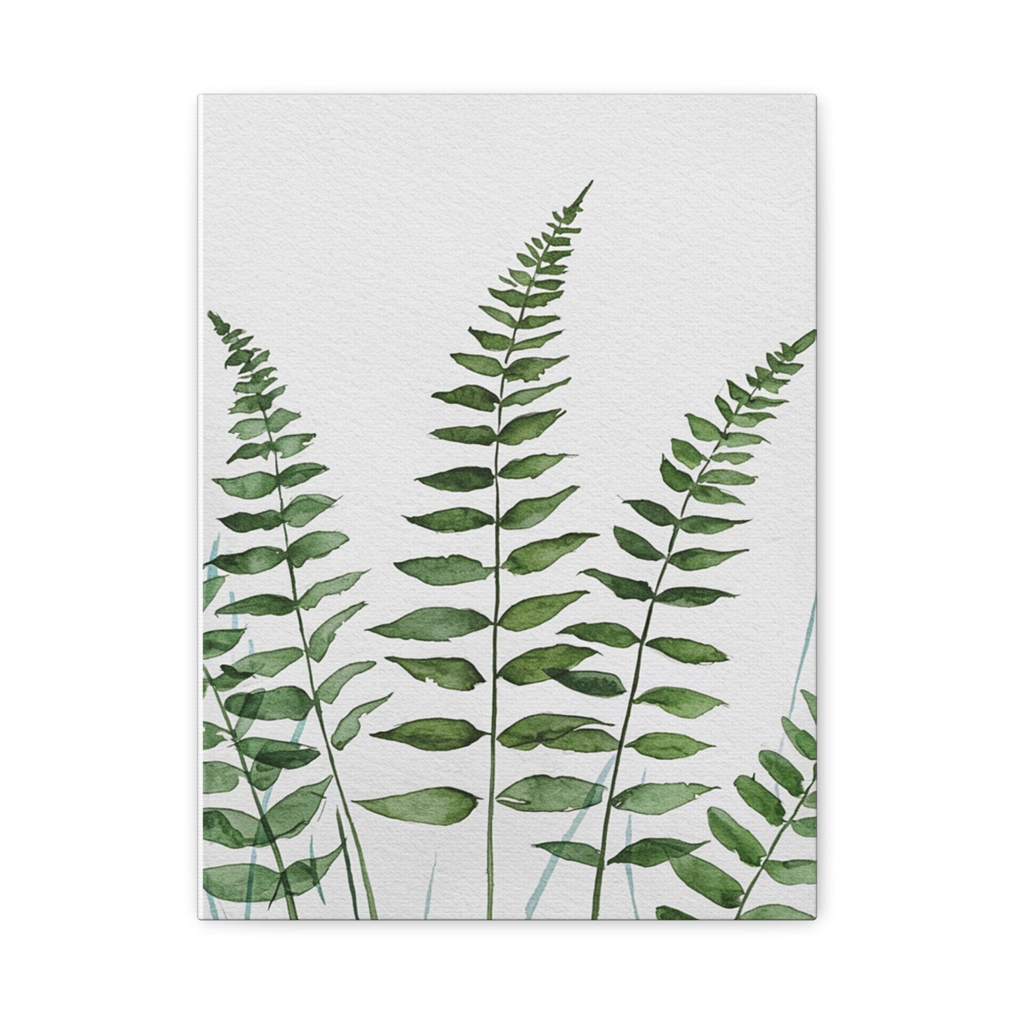 Fern Watercolor Canvas Art – Botanical Matte Stretched Wall Print